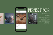 45 Majestic Owl Stock Photos, an Animal Photo by Incomelion (Thumbnail 2 of 13)
