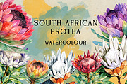 South African Flowers, a Decorative Illustration by Karliefie (Thumbnail 1 of 5)