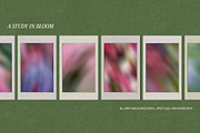 Etudes in Bloom - Blurry Backgrounds, a Background Graphic by Dina Mae (Thumbnail 10 of 13)