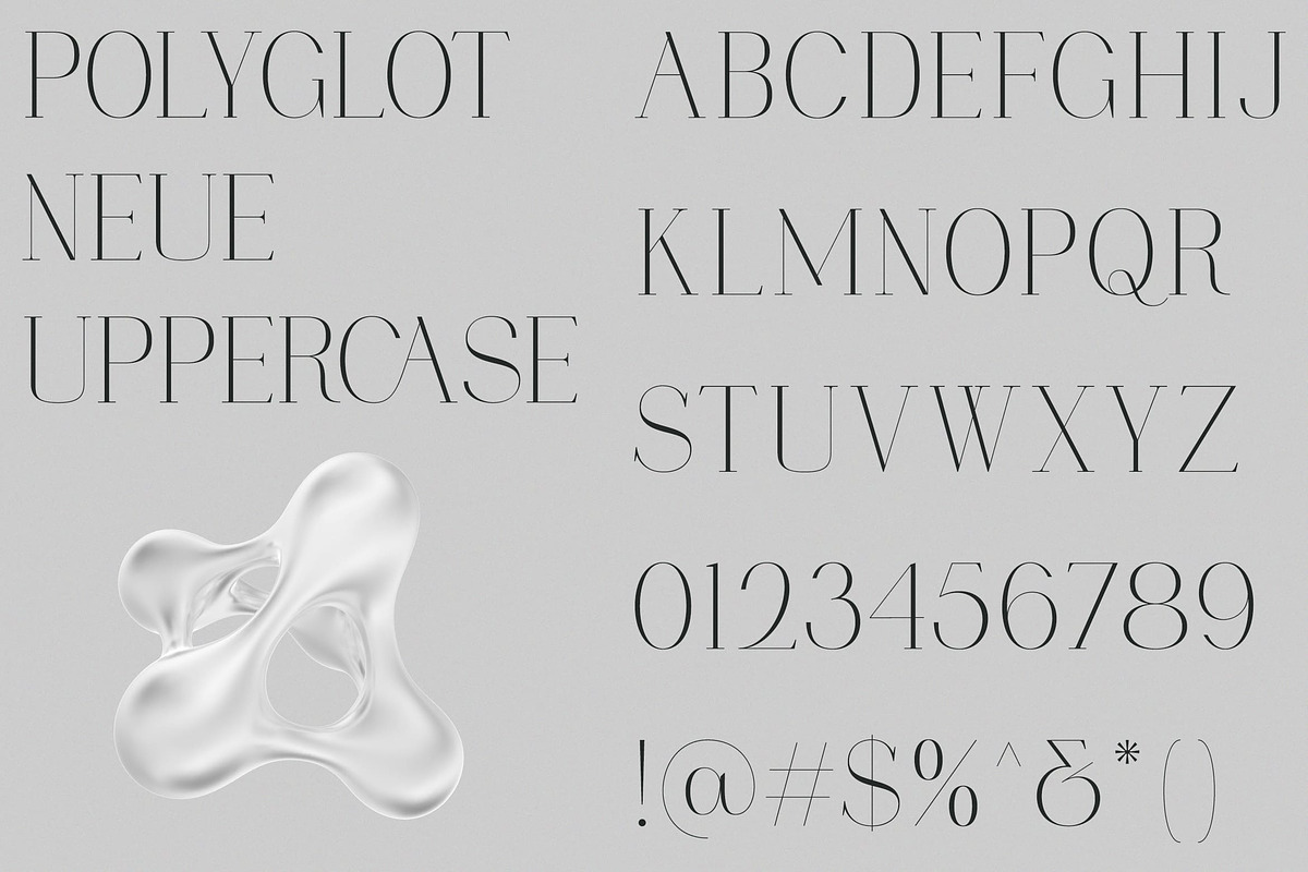 Polyglot Neue, a Serif Font by MJtypefoundry (Photo 4 of 13)