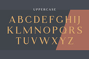 Monica Miller - Serif Typeface, a Serif Font by Morisco (Thumbnail 2 of 9)
