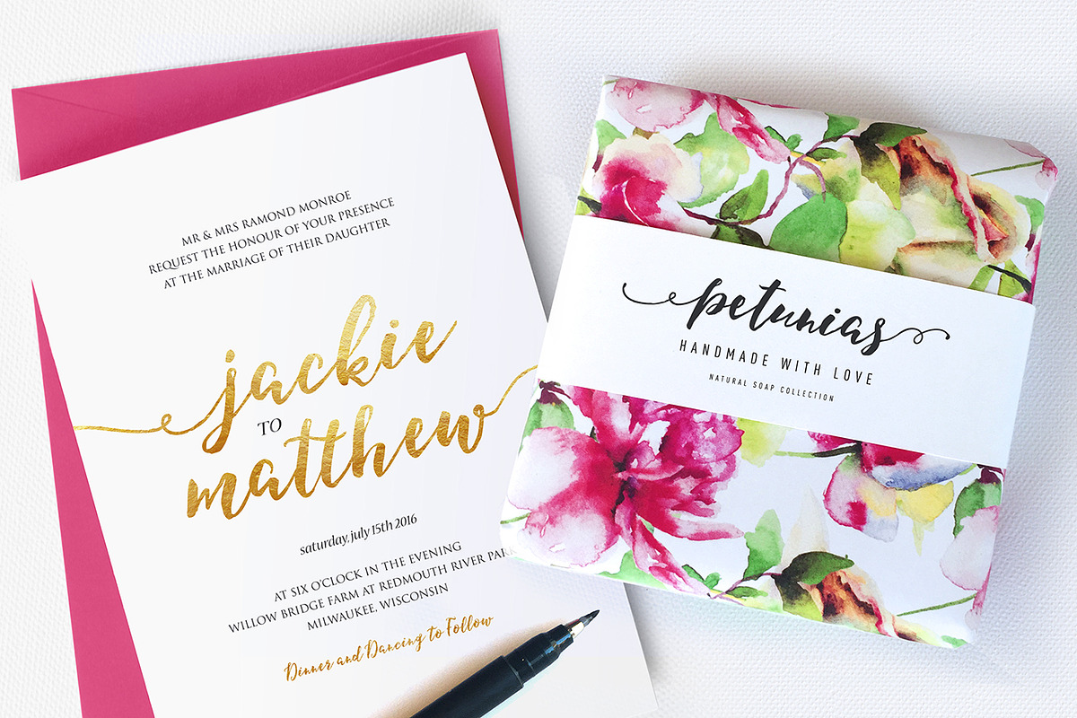 Pleasures Script + Extras, a Script Font by Nicky Laatz (Photo 3 of 11)