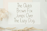 DearLetter | Handwriting Font, a Handwritten Font by LivelyAutumn11.11 (Thumbnail 4 of 5)