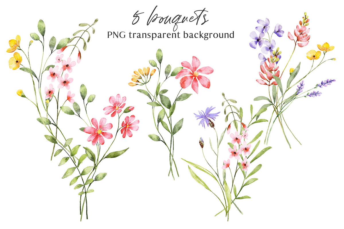 Wild flowers, watercolor clipart PNG, a Decorative Illustration by Larisa Maslova (Photo 4 of 8)