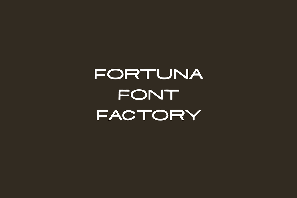 Tiempo: Hand Drawn Sans Serif, a Sans Serif Font by Fortuna Font Foundry (Photo 4 of 4)