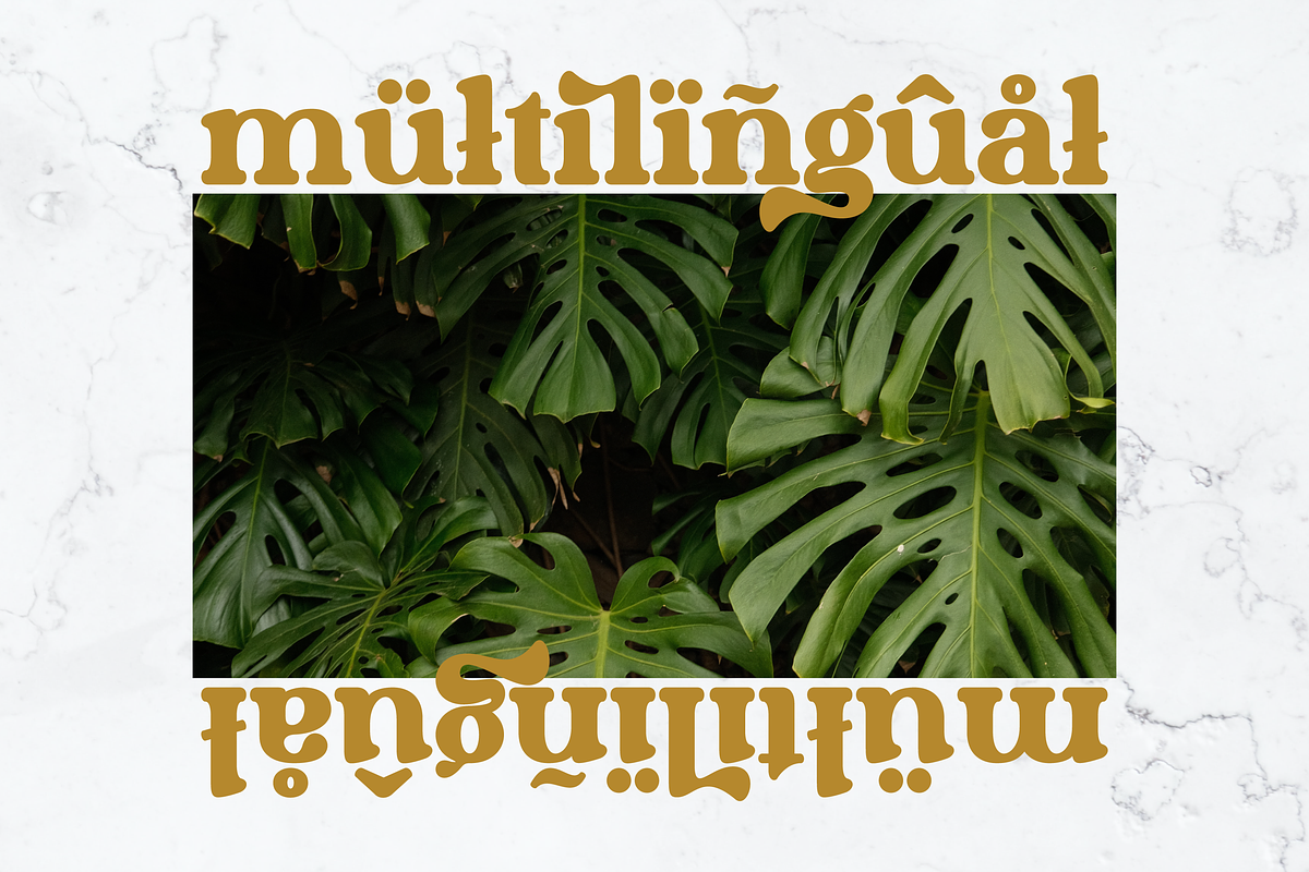 Morally - Vintage Bold Serif, a Serif Font by tebaltipislab (Photo 5 of 13)