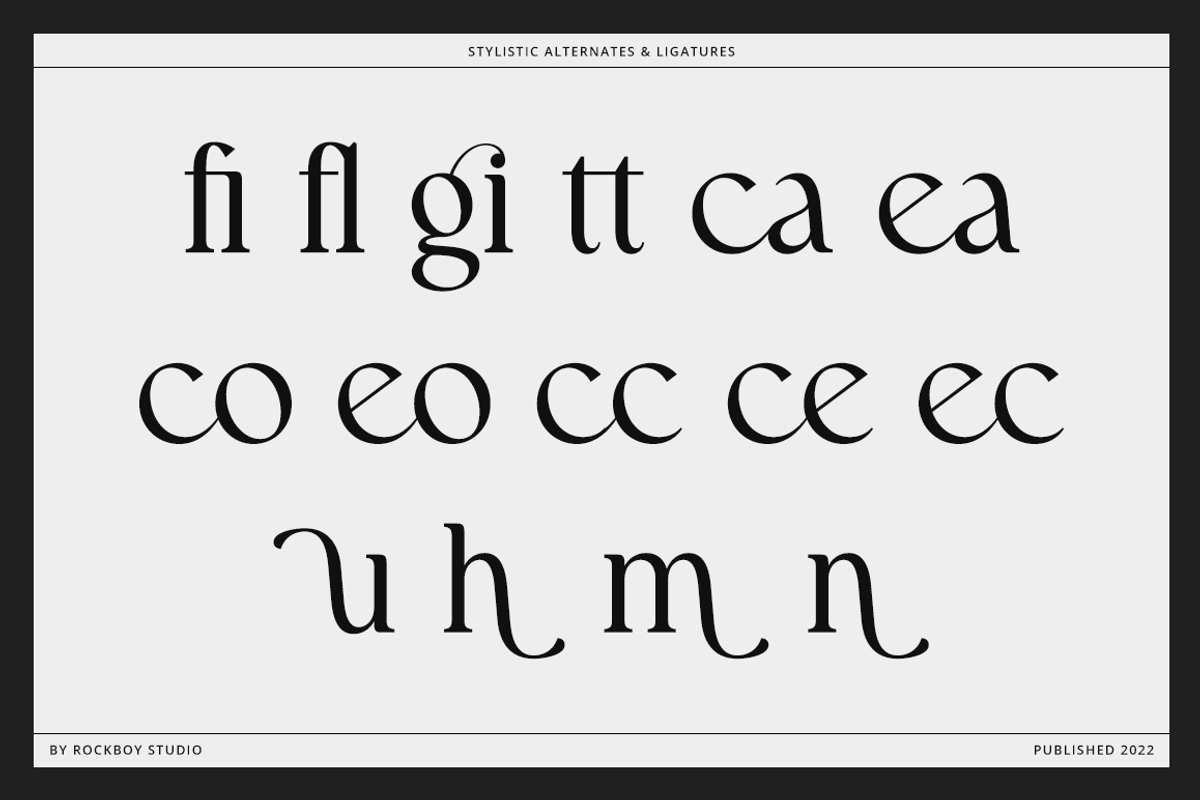 Walknoice - Modern Stylish, a Serif Font by RockboyStd (Photo 11 of 12)