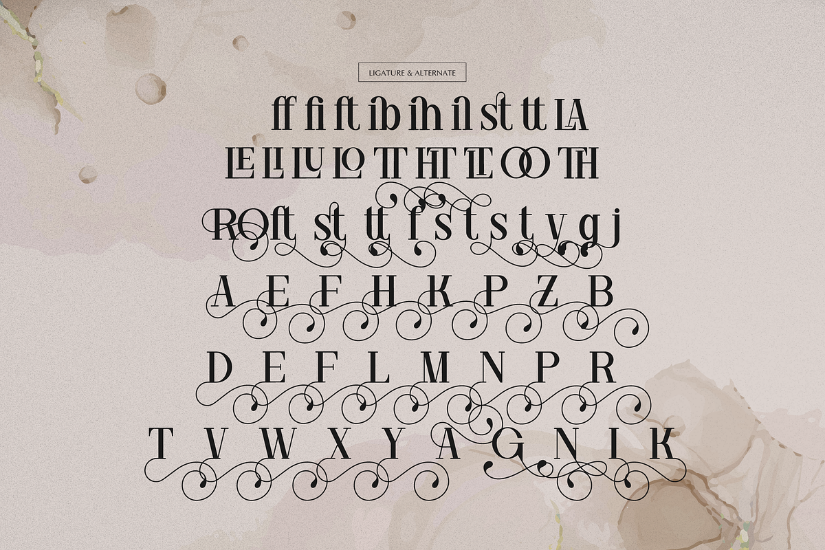 Ronale Classic | Handmade Serif, a Serif Font by gracetype_studio (Photo 12 of 12)
