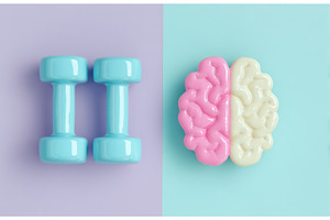 A paper-cut brain on a pink, a School & Education Photo by ZinetroN