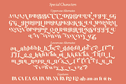 Salitia - 6 Font and Swash, a Serif Font by Dharmas Foundry (Thumbnail 15 of 16)
