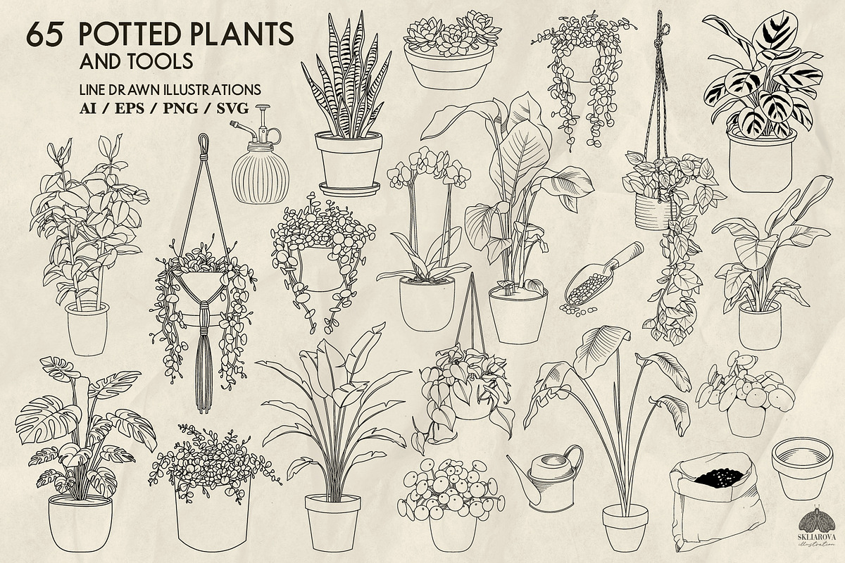 Potted Plants Line Art + Procreate, an Object Illustration by Skliarova (Photo 2 of 4)