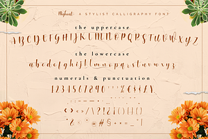 Higheat - Stylish Calligraphy Font