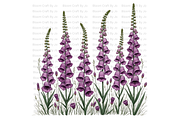 Foxgloves Stems and Flowers, a Decorative Illustration by Bloom Craft Creations (Thumbnail 9 of 11)