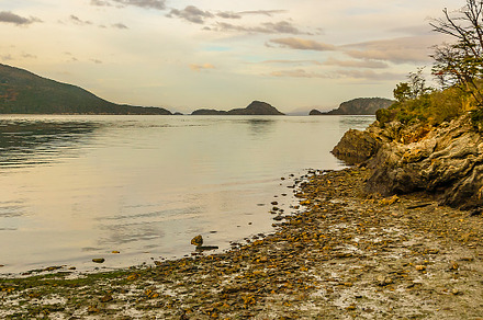 Lapataia river coast, tierra del fuego park, argentina, a Nature Photo by DanFLCreativo