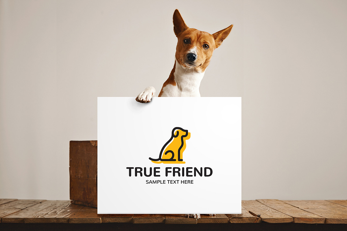 True Friend Pet Logo, a Branding & Logo Template by Falcon eye (Photo 2 of 3)