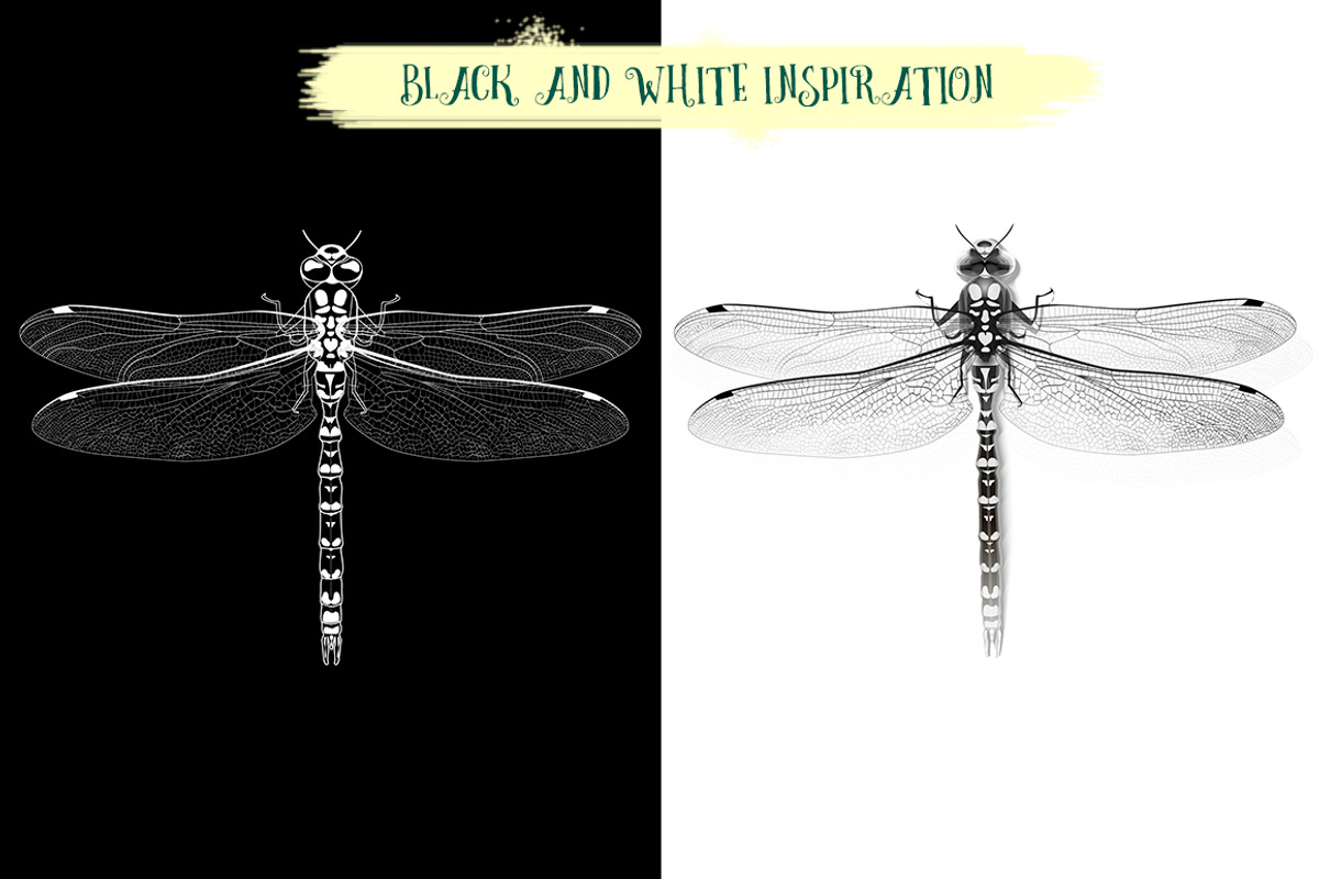 Dragonfly inspiration, an Object Graphic by Indie Khisa (Photo 3 of 7)