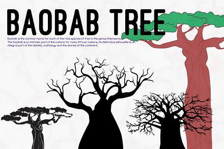 Baobab Tree Illustrations