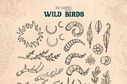 Wild Birds, an Animal Illustration by Ink Stories (Thumbnail 8 of 20)