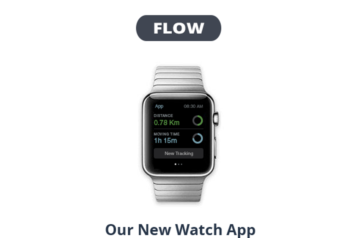 Flow Email Template + Builder, an Email Template by Digico (Photo 2 of 5)