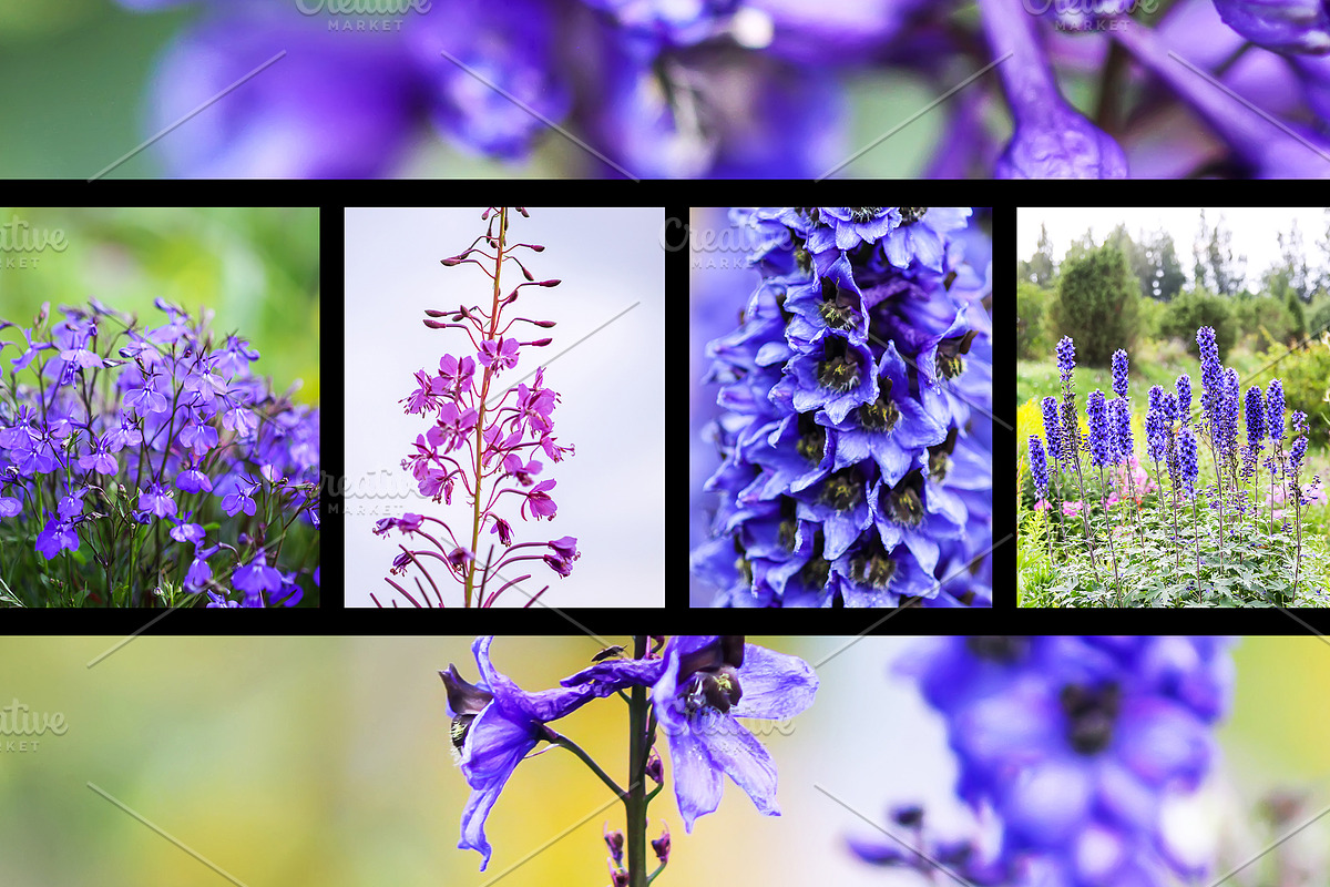 22 stock photos set. Nature, flowers, a Nature Photo by pictures for you (Photo 4 of 6)