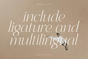Shefian Modern Serif Font, a Serif Font by Storytype Studio (Thumbnail 2 of 15)