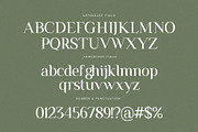 Remains Stepping Ligature Serif Font, a Serif Font by Graphicxell (Thumbnail 16 of 17)