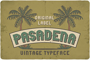 Pasadena typeface, a Symbol Font by VozzyStock (Thumbnail 3 of 7)