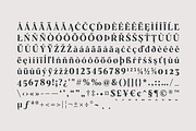 Galonia Type, a Serif Font by Dopestype (Thumbnail 12 of 13)