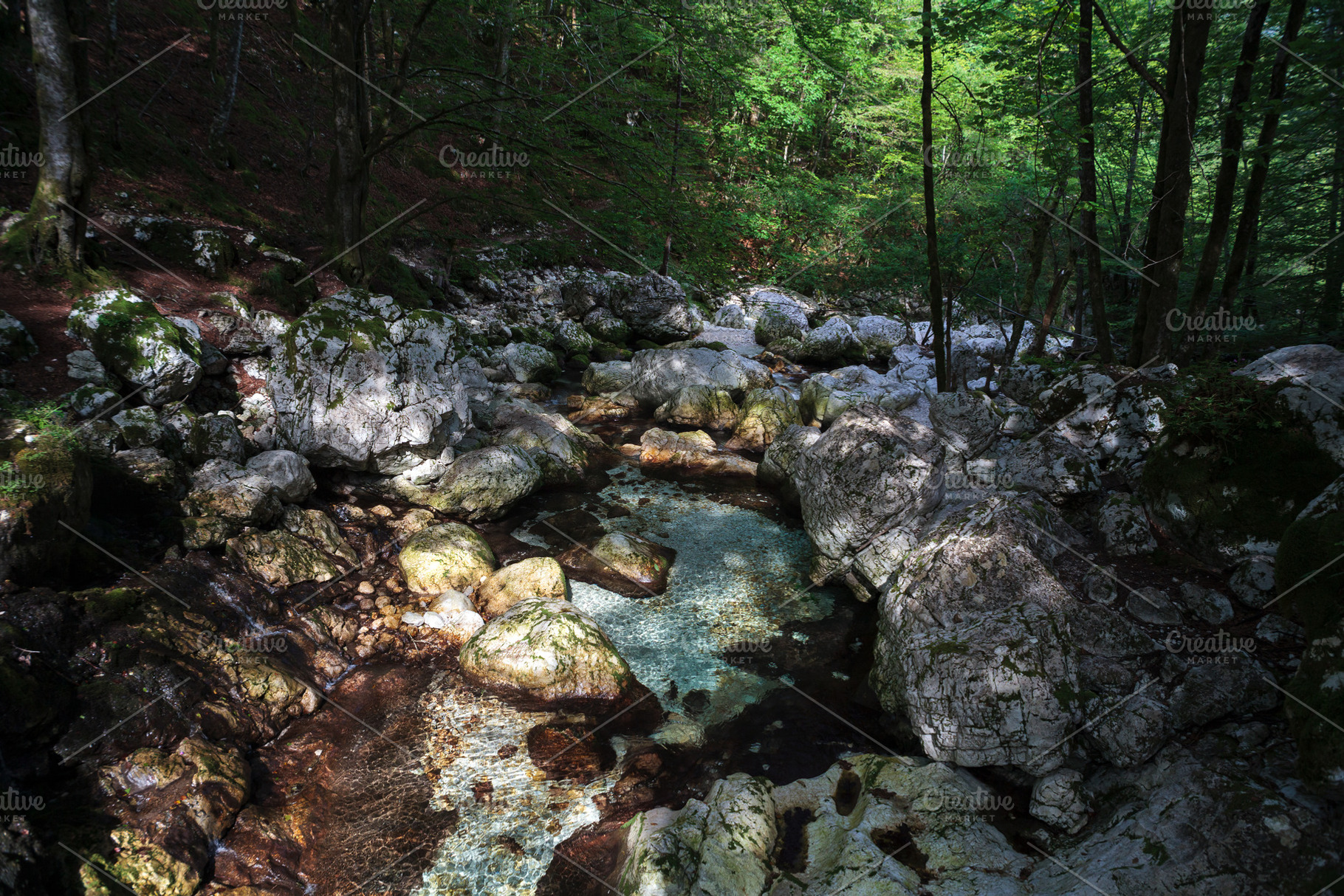Sunikov Vodni Gaj Nature Preserve, Slovenia, a Nature Photo by Bepslabor
