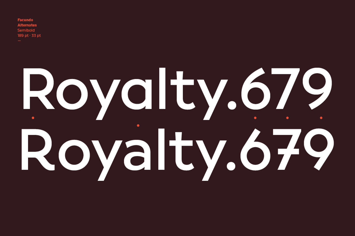 Facundo, a Sans Serif Font by Latinotype (Photo 14 of 15)