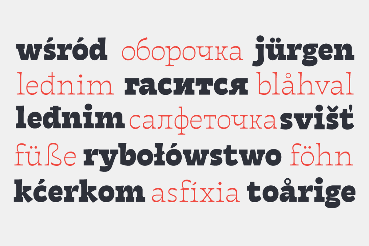 Tarif - 21 fonts, a Slab Serif Font by Zetafonts (Photo 7 of 13)
