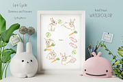 Watercolor Life Cycle Collection, an Education Illustration by MayaNavits (Thumbnail 12 of 15)