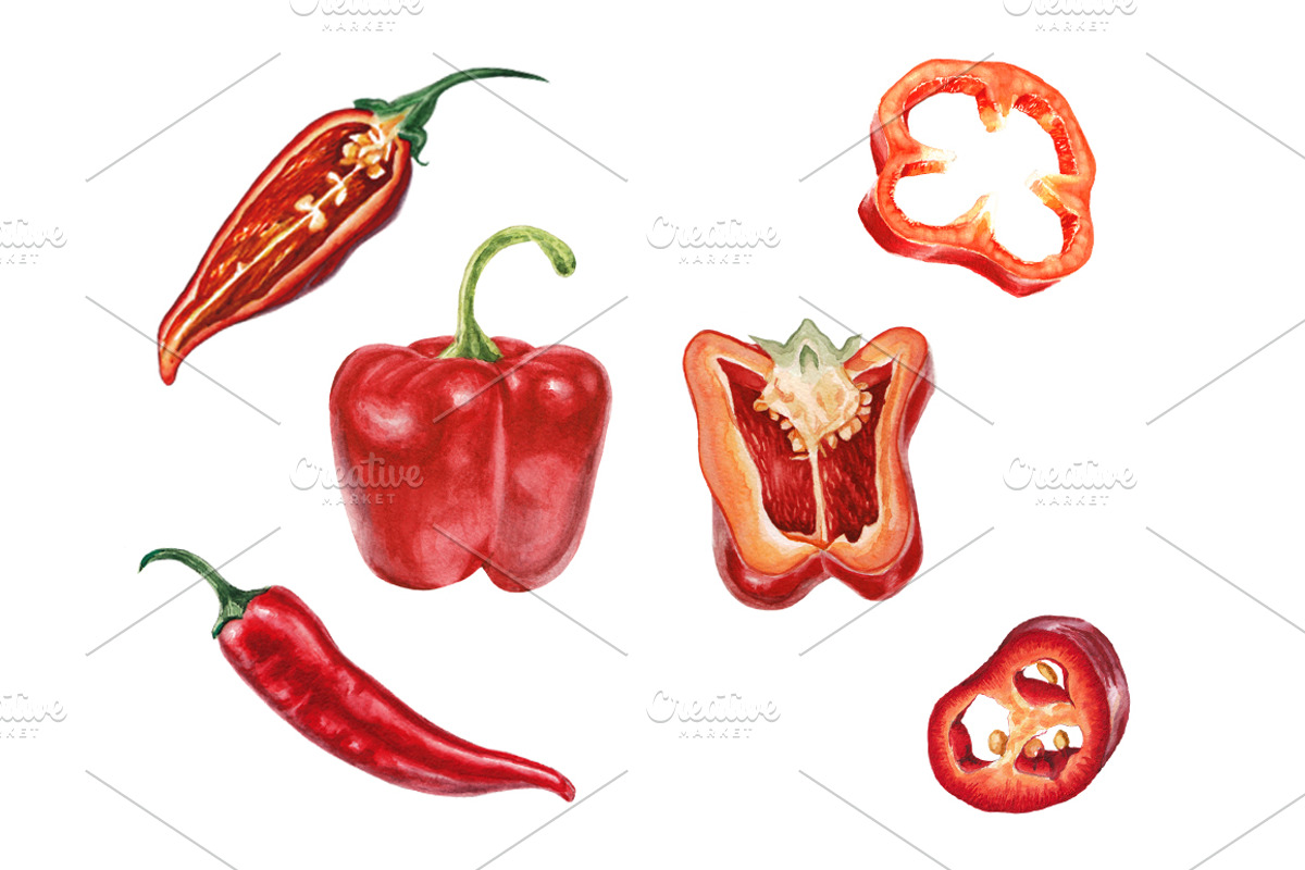 Watercolor red and chili peppers set, a Pattern Graphic by lenavetka87 (Photo 1 of 3)