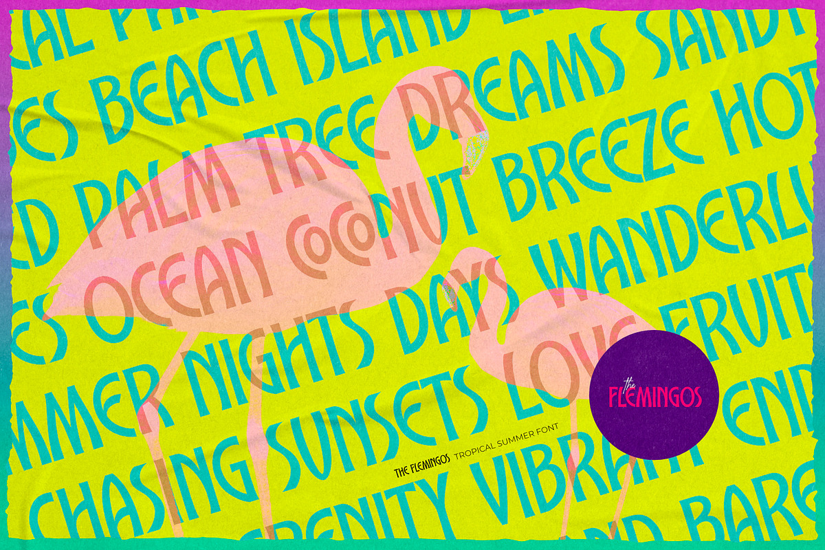 The Flemingos - Tropical Summer Font, a Sans Serif Font by ikiiko (Photo 4 of 7)