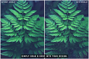 Subtle Dust Fiber Overlay Textures, a Texture Graphic by Ary_ngeblur (Thumbnail 9 of 10)
