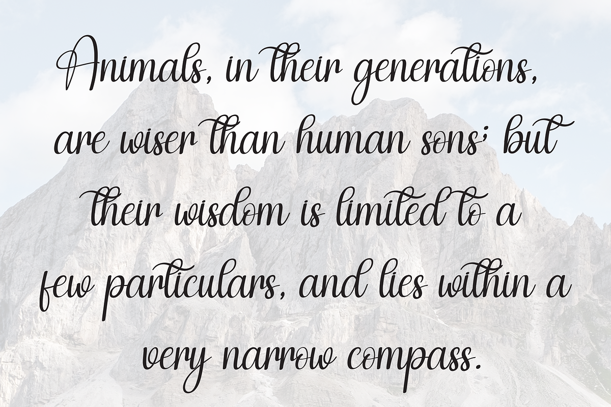 Beautiful Regina | Script Font, a Handwritten Font by Scratchones (Photo 6 of 9)
