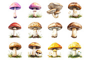 Mushrooms Clipart, an Illustration by Design Market (Thumbnail 2 of 4)