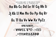 Spirit Sunday, a Script Font by FreshTypeINK (Thumbnail 5 of 8)