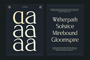 TRT Northem – Elegant Serif Font, a Serif Font by truetype (Thumbnail 9 of 15)