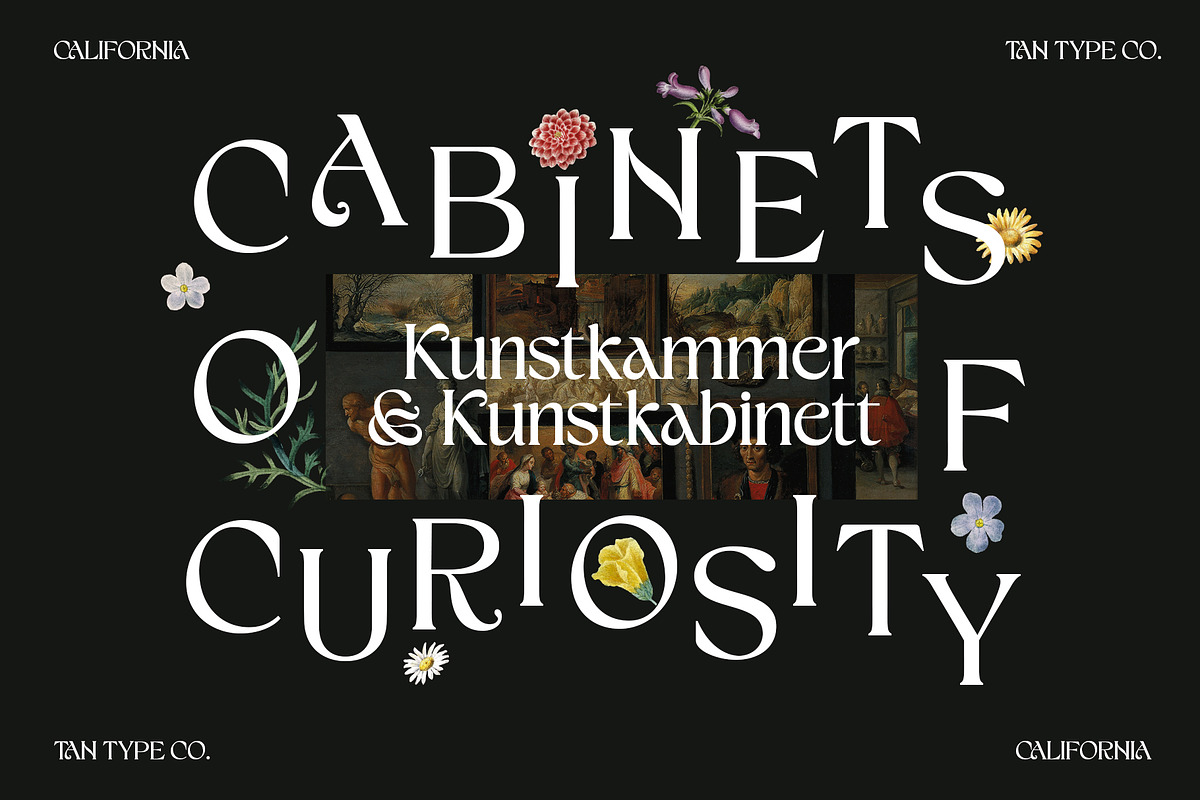 TAN - CALIFORNIA, a Serif Font by TanType (Photo 15 of 16)