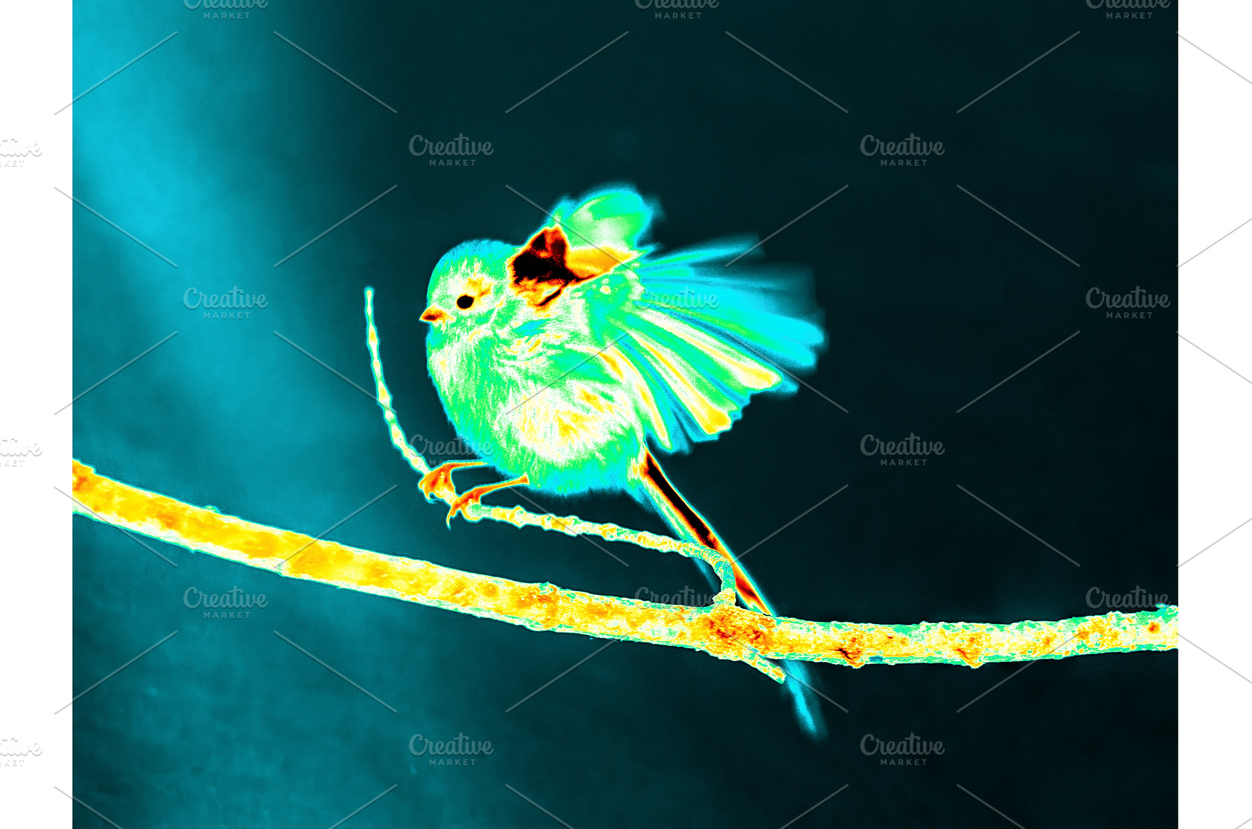 Infrared Thermal Image of Long Tiled, an Animal Photo by Fascinadora