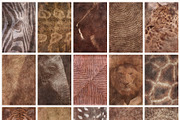 Vestige · Primal Earth Backgrounds, a Background Graphic by alonahaidash (Thumbnail 10 of 16)