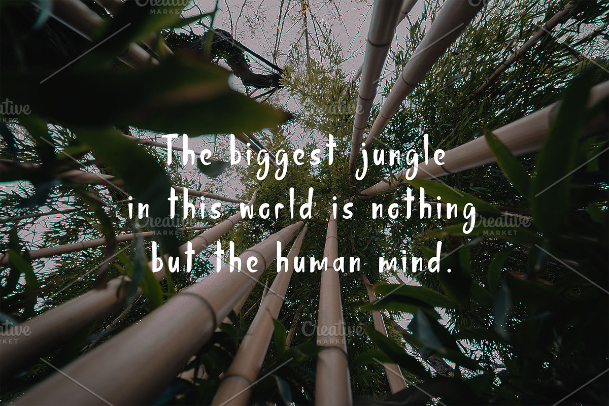 Jungle Display Font, a Script Font by Nadezda (Photo 2 of 8)