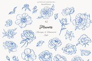 Azure Baroque LineArt, a Decorative Illustration by SunnyAfternoons (Thumbnail 8 of 15)