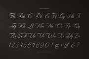 Anelyas | Modern Calligraphy, a Script Font by Denustudios (Thumbnail 11 of 12)