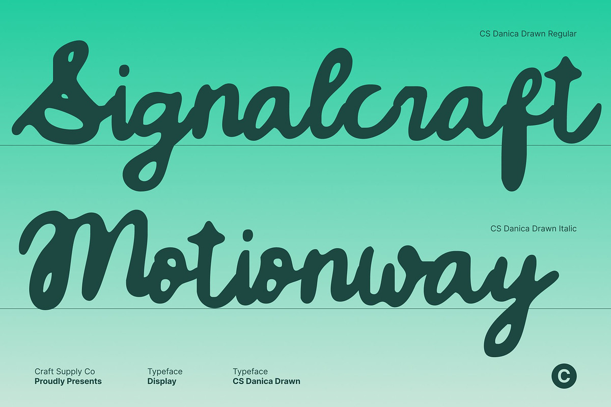 CS Danica Drawn, a Script Font by Craft Supply Co. (Photo 3 of 8)