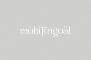 Mage - Elegant & Classic Serif, a Serif Font by mikhailakiyama (Thumbnail 8 of 8)