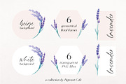 My Fair Lavender Watercolor Florals, a Seasonal Illustration by Pigment Café (Thumbnail 7 of 7)