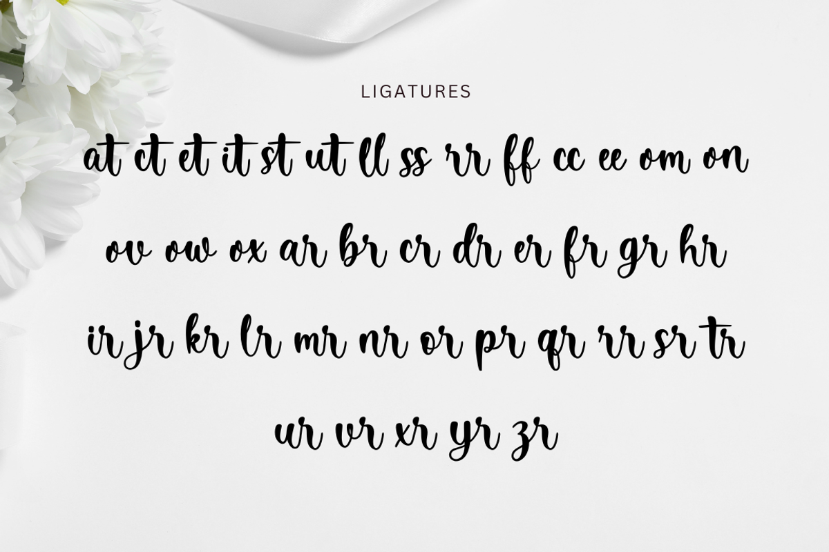 Abitha - Calligraphy Font, a Script Font by Sronstudio (Photo 15 of 16)