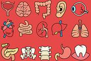 Human Organ Illustration Pack, an Illustration by baii09 (Thumbnail 2 of 2)